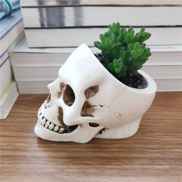 Vases New product hollowed out small skull storage ornament candle base office and home tabletop succulent green plant flower pot H240517