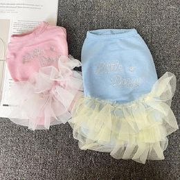 Hundekleidung Tutu Katze Kleid Sommerpuppenrock kleine Kleider Chihuahua Yorkshire Pommerianer Bichon Kleidung Haustierkleider