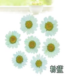 120pcs Pressed Press Dried Daisy Dry Flower Plants For Epoxy Resin Pendant Necklace Jewelry Making Craft DIY Accessories 2103172151491