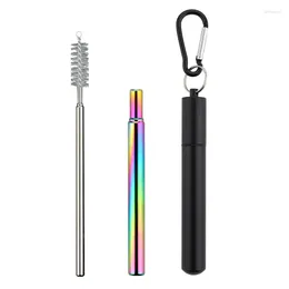 Drinking Straws Reusable Straw 304 Stainless Steel Metal With Cleaning Brush Portable Set For Travel Case