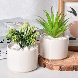 Vases Ceramic succulent flower pot white porcelain modern and simple potted plant creative decoration living room home round shape H240518