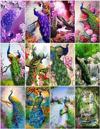 AZQSD Paint By Number Canvas Kits Peacock Homed Decoration Acrylic Paint Coloring By Numbers Animal Handpainted Gift5375631