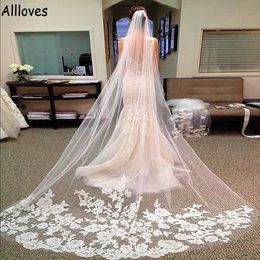 Glamorous Lace Appliqued Bridal Veils Headwear White Ivory 3 Metres Long Tulle One Layer Wedding Veil For Brides Hair Accessories AL231 249D