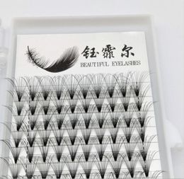 Natural 20P 007CD 815mm Individual Eyelash Extensions Of Russian Volume And Premade Fans Eyelashes For Salon8147578