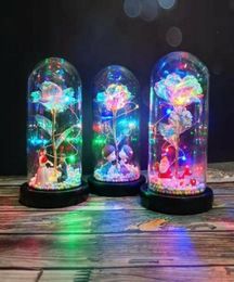 LED Enchanted Rose Light Silked Artificial Eternal Rose Flower In Glass Dome Lamp Decors Light Christmas Valentine Romantic Gift 25463607