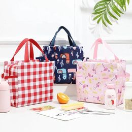 Storage Bags Lunch Box For Men Women Small Leakproof Cute Tote Insulated Cooler Container Work Office Picnic Or Travel
