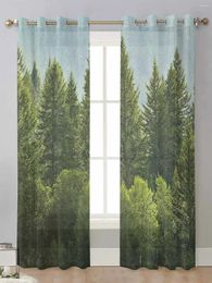 Curtain Green Pine Forests And Rain On Hillsides Sheer Curtains For Living Room Window Voile Tulle Cortinas Drapes Home Decor