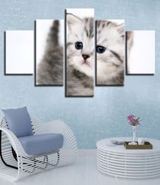 Framework Decor Living Room Wall Art 5 Pieces Printing Very Lovely Cats Animal Paintings Poster Modular Canvas Pictures Artworks6269609