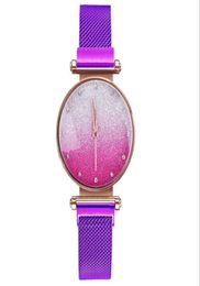 Whole Fashion Noble Temperament Women Wristwatches Quartz Glossy Mesh Strap Watches Trend Magnet Buckle Ladies Watch1230647