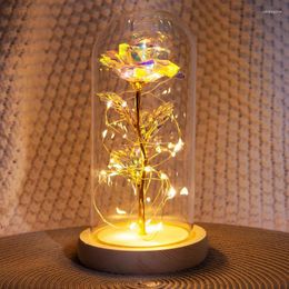 Decorative Flowers LED Enchanted Galaxy Rose Eternal 24K Gold Foil Flower With String Lights In Dome For Home Decor Christmas Valentine's