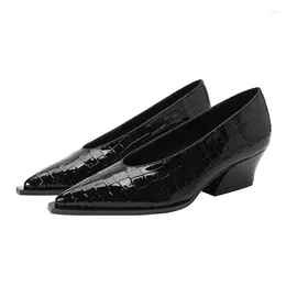 Dress Shoes C099 2024 Spring Summer Wedges Elegant Snakeskin Women Heels All Matched Vintage Ladies V Cut Patent Leather