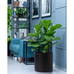 Planters Pots 3 sets of plastic plant jars with drainage holes and seamless plates 10 inches 12 inches 14 inches blackQ240517