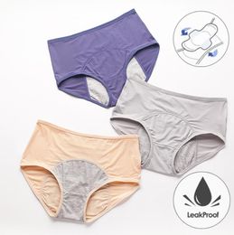 Leak Proof Menstrual Panties Physiological Pants Women Underwear Period Cotton Waterproof Briefs Plus Size Female Lingerie1739329