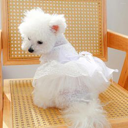 Dog Apparel 1PC Pet Clothing Cat And Spring/Summer Thin White Wedding Princess Dress Suitable For Small Medium Sized Dogs