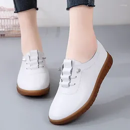 Casual Shoes 35-41luxus Street Fashion Genuine Leather For Women Ladies Elastic Band Elegant Flat Work Girls