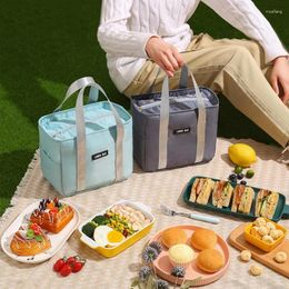 Storage Bags Portable Insulation Bag Office Worker Student Waterproof Small Meal Aluminium Foil Thickened Lunch
