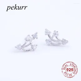 Stud Earrings Pekurr 925 Sterling Silver Cubic Zircon Clove Flower For Women Accesories Long Catkins Earring CZ Fashion Jewelry