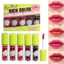 Lip Gloss 5 Colours Set Mini High Shine Plumping Oil And Clear Long Lasting Moisturising Non Sticky Glaze Soft