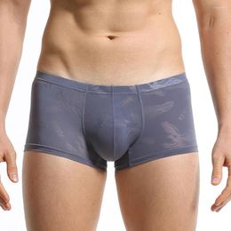Underpants 1pc Sexy Men's Low Waist Underwear U-convex Pouch Boxers Shorts Ultra Thin Panties Lingerie See Through Man Briefs
