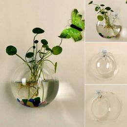 Planters Pots Transparent glass vase wall mounted hydroponic fish tank Potted plant pot diameter 8cm/10cm/12cmQ240517