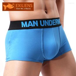 Underpants EXILIENS Brand Men Boxer Mens Underwear Modal Letter Cueca Masculina Boxershorts Boxers Hombre Size M-2XL 112701