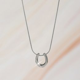 Horseshoe Necklace Collier Stainless Steel Gold Plated Snake Chain Chunky U Shaped Pendant Jewelry Necklaces