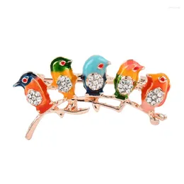 Brooches Ins Style Five Colorful Bird Brooch For Women Rhinestone Lovely Animal Party Casual Pins Gifts