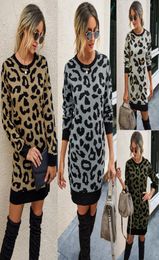 knitted women leopard print sweater dress new round neck long sleeve casual dresses women fashion autumn winter knit bodycon dress5939451