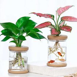 Planters Pots Mini hydroponic flower pot home vase decoration transparent simulated glass anhydrous plant pot green plant pot home decorationQ240517