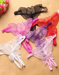 Womens Underpants Women Sexy Hollow Out Butterfly Thong Micro Panties Erotic Briefs Lingerie Lace Thong Transparent Underwear5187777