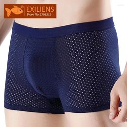 Underpants EXILIENS Boxer Men Underwear Mens Boxers Sexy Mesh Without Traces Male Calzoncillo Cueca Masculina Boxershorts Size XL-4XL