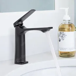 Bathroom Sink Faucets Wash Basin Faucet 304 Stainless Steel Black Single Hole Cold Mixed Water Set Kitchen Taps