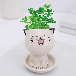 Planters Pots New Ceramic Animal Cat Flower Pot Cartoon Cute Cat Mini Plant Cinnamon Plant Bonsai Pot Home DecorationQ240517
