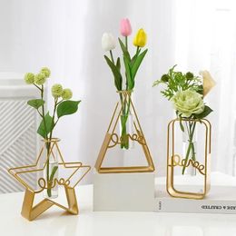 Vases Modern Vase Decoration Light Luxury Home Living Room Bedroom Dining Metal Test Tube Hydroponic