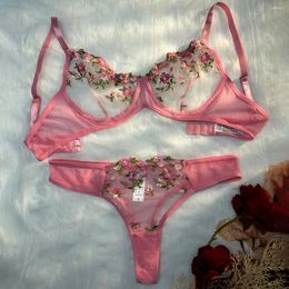 Bras Sets Pink Sexy Lingerie Woman Lace Transparent Underwear Fairy Embroidery Brief Delicate Bra Panties Kits Erotic Breves
