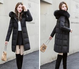 Women Winter Jacket Ladies Real Raccoon Fur Collar Duck Down Inside Warm Coat Femme With All The Tag Slim Fit Outdoor Parka5994308