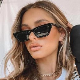 Sunglasses Brand Square Woman Fashion Vintage Black Cat Eye Shades Sun Glasses Retro Small Frame Female Designer