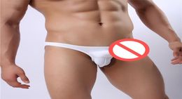 Sexy Erotic Men Underwear Gay Briefs U Convex Big Penis Pouch Design Men Nylon Briefs for Man Bikini Underpants SJJ349423804