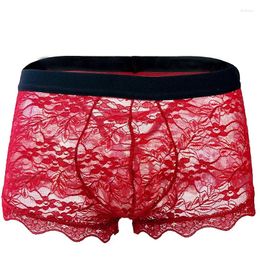 Underpants Sissy Lingerie For Men Lace Floral Sheer Boxers Low Rise Underwear Bulge Pouch Boxer Ultra-Thin Breathable Transparent Briefs