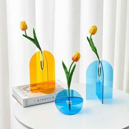 Vases Nordic Home Decoration Colorful Acrylic Vases Modern Room Living Room Decoration Flower Container Creative Hydroponic Vase Gift J240515