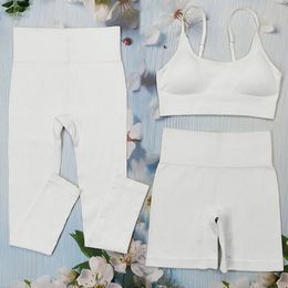 White Ribbed Yoga Shorts Sets Seamless Sports Suits for Fitness Workout Clothes for Women Sportswear Gym Sexy Crop Top Female 240518