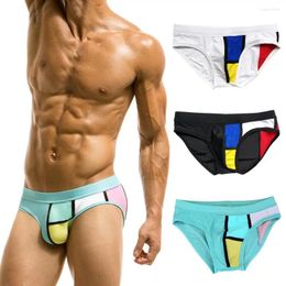 Men's Swimwear Men Swim Bikni Colorful Briefs Trunks Unerwear Sexy Beach Surf Shorts Swimsuit Bathing Suit Sunga Panties