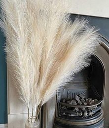 5Pcs Faux Pampas Grass Large 12010085cm Flower Bouquet Fake Artificial Pampas Grass Decor Tall Fluffy Stems Living Room Decor 212701449