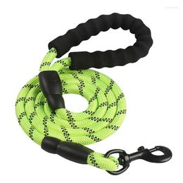 Dog Collars High Quality Durable Nylon Paracord Strong Rope Reflective Leash Padded Handle Pet Leads