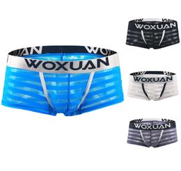Men Sexy Boxer Briefs Shorts Soft Underpants SeeThrough Mesh Stripe Transparent Sexy Underwear Trunk for Man8089354