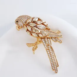 Brooches Crystals From Austria Luxurious For Women Anniversary Clothing Jewelry Accessories Bird Design Ladies Brooch Bijoux
