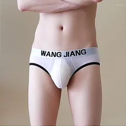 Underpants Transparent Mesh Underwear Men Sexy Erotic Panties See Through U Convex Pouch Briefs Male Breathable Soft Lingerie