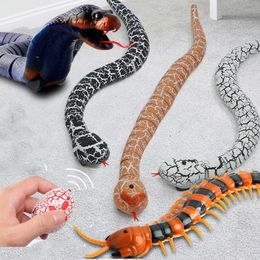 Rc snake robot childrens toy 5 6 7 8 year old gift remote control animal prank simulation electric cobra 240517