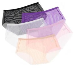 Women039s Sexy Underwear Seamless Transparent Panties Lightweight Lady039s Briefs 5pcslot8108864