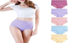 Women039s Panties High Waisted Cotton Underwear Soft Full Briefs Ladies Breathable Multipack7209948